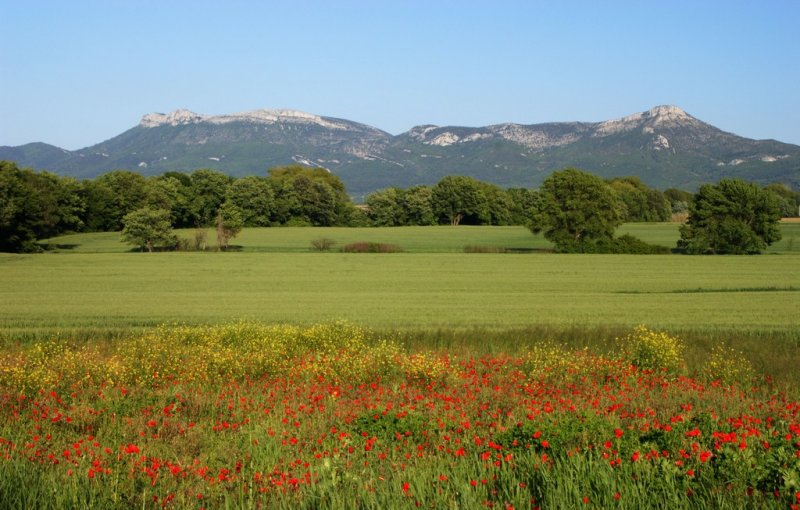 Topographie du parcours