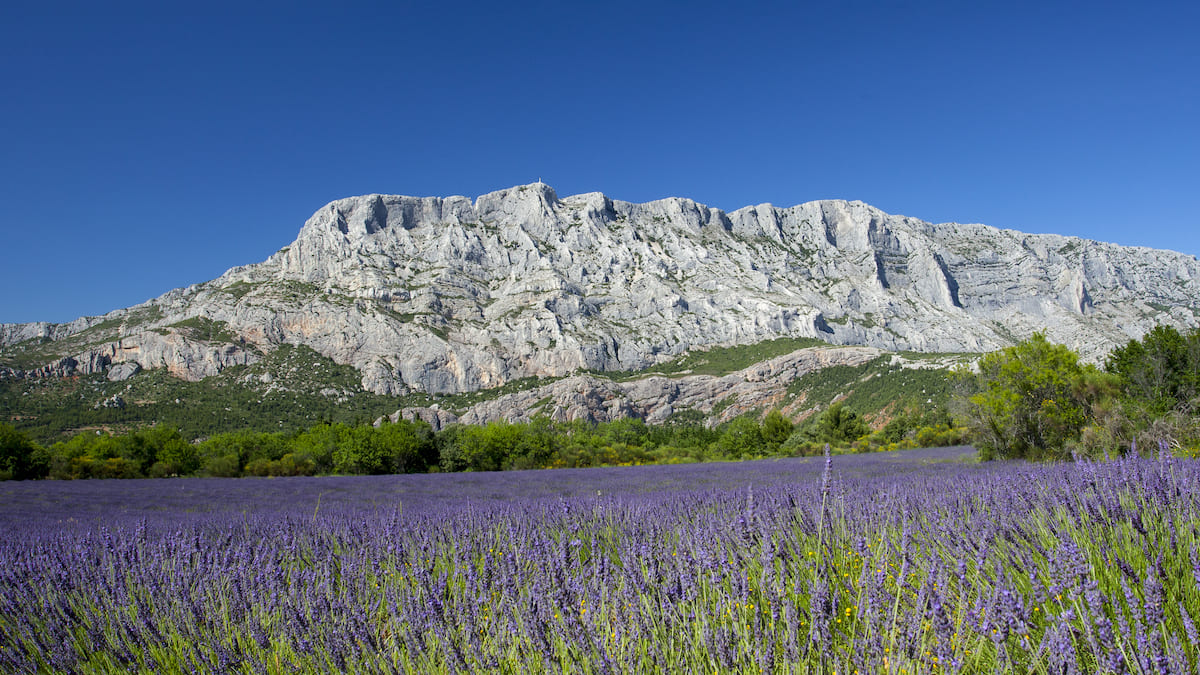 Photo du parcours